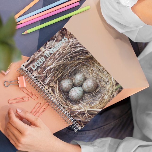 Little Treasures Bird Nest Eggs Notebook (In Situ)