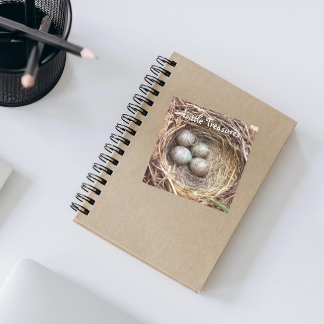 Little Treasures Bird Nest Eggs Square Sticker (In Situ Notebook)