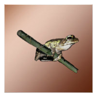 Little Tree Frogs Oil Paint, Poster
