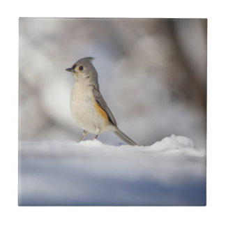 Little Tufted Titmouse in Snow Ceramic Tile