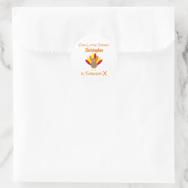 Little Turkey Birthday Classic Round Sticker (Bag)