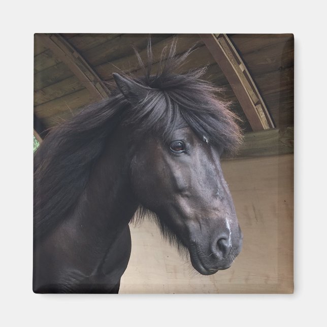 Little Viking Horse Noble Head Magnet (Front)