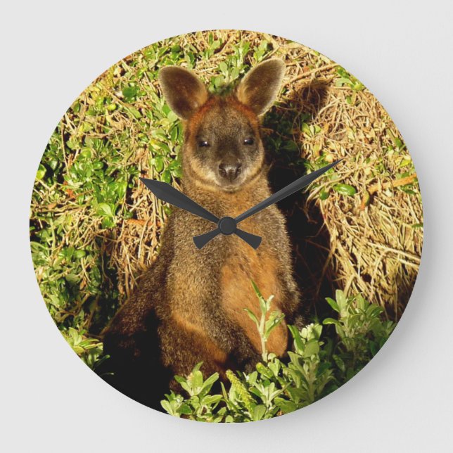 Little Wallaby Large Clock (Front)