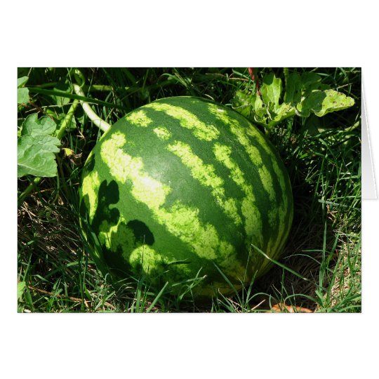 Little Watermelon Card