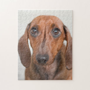 Little Weiner Dog Jigsaw Puzzle