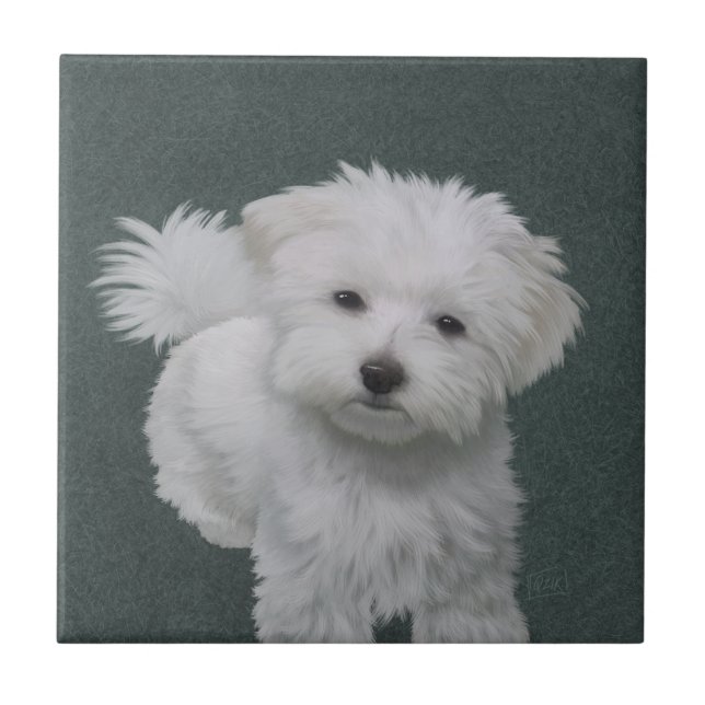   Little white dog pet portrait  Ceramic Tile (Front)