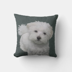 Little white dog pet portrait Cushion