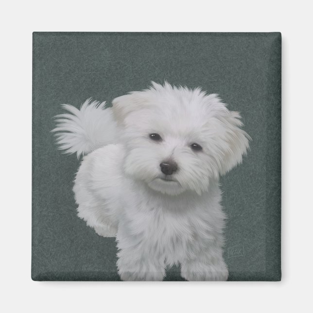   Little white dog pet portrait  Magnet (Front)