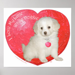 Little White Dog Rescue Valentine Poster