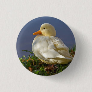 Little White Duck 3 Cm Round Badge