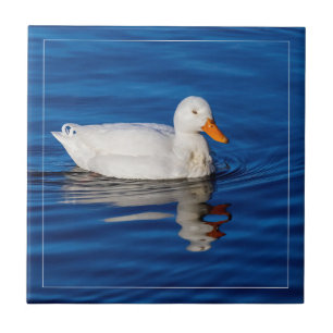 Little White Duck In Rippled Water Ceramic Tile