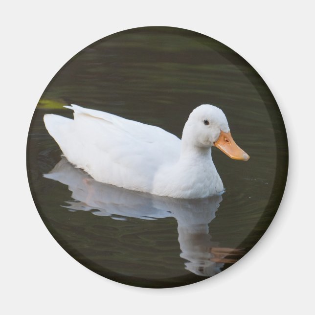 Little White Duck Magnet (Front)