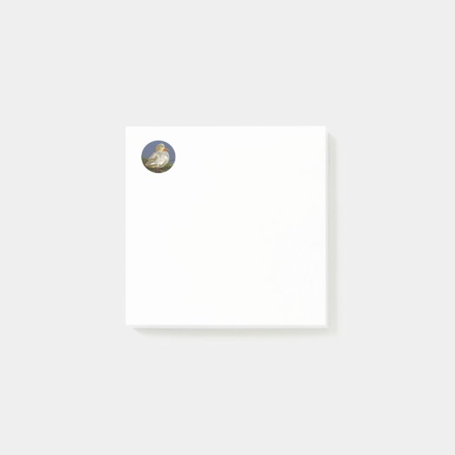 Little White Duck Post-it Notes (Front)