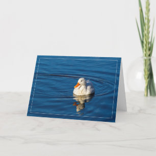 Little White Duck Reflections Card