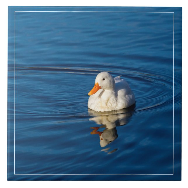 Little White Duck Reflections Ceramic Tile (Front)