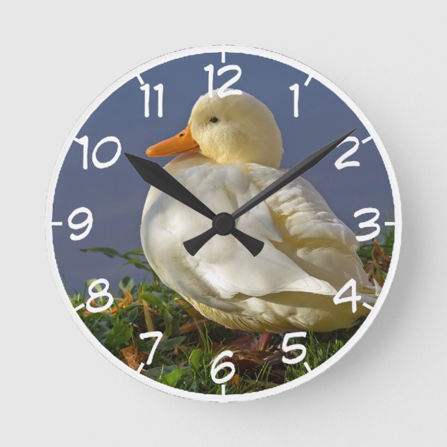 Little White Duck Round Clock (Front)