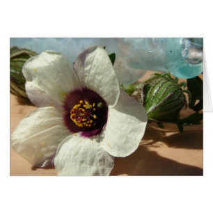 Little White Flower, Vintage Bottle, Pumpkin