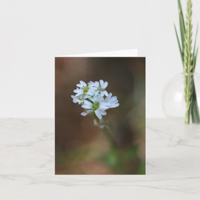 Little White Flowers Notecard (Front)
