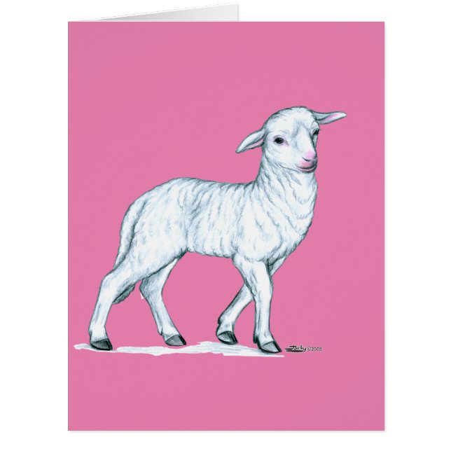 Little White Lamb (Front)