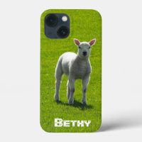 Little White Lamb and your name