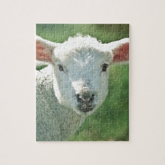 Little White Lamb Jigsaw Puzzle (Vertical)