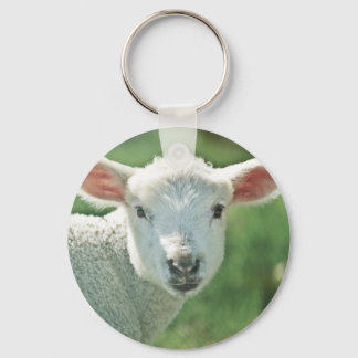 Little White Lamb Key Ring