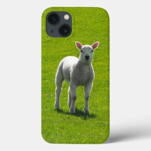 Little White Lamb on green glass iPhone 13 Case