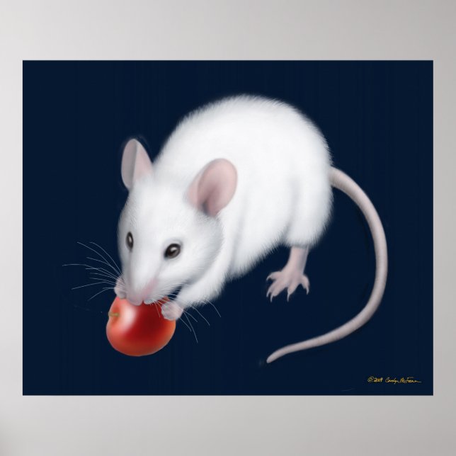 Little White Mouse Print (Front)