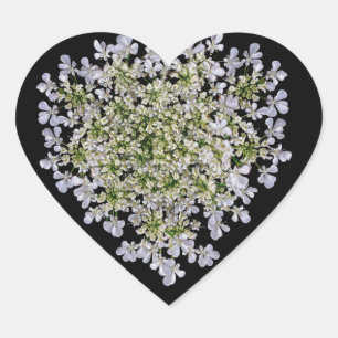 little white petals heart sticker