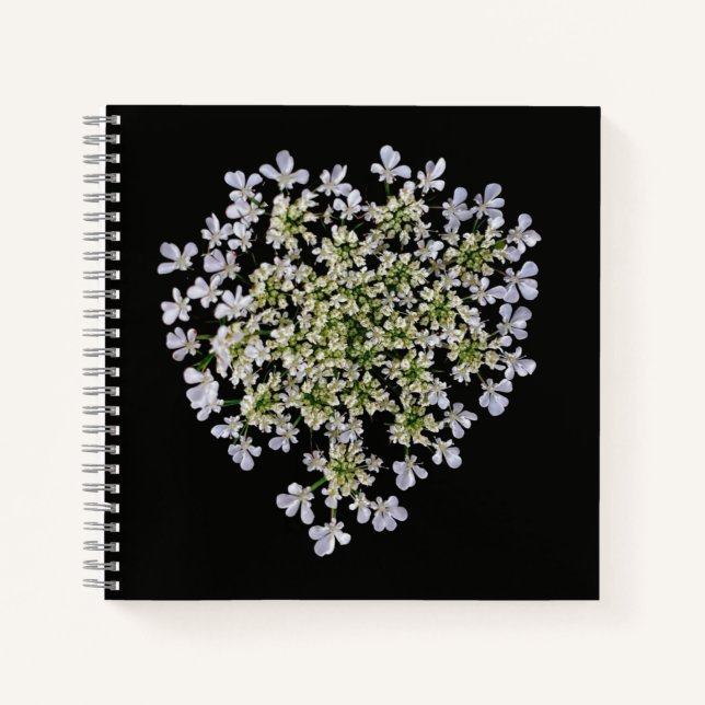 little white petals  notebook (Front)