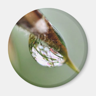 Little World Water Droplet Magnet