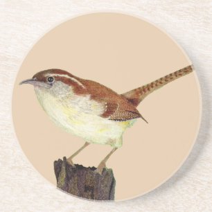 Little Wren Coaster