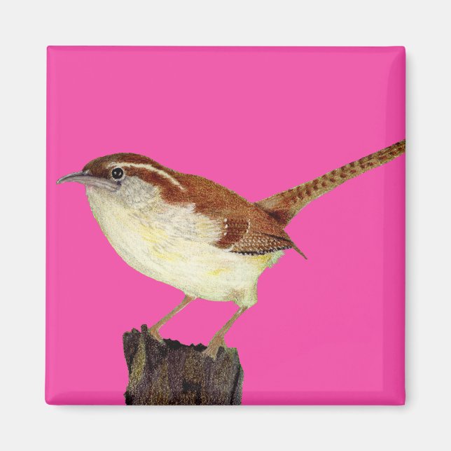 Little Wren Magnet (Front)