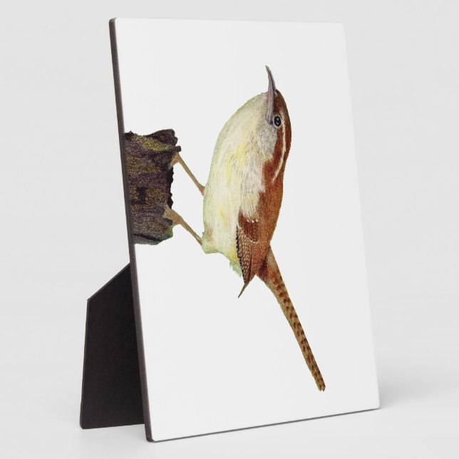 Little Wren Plaque (Side)