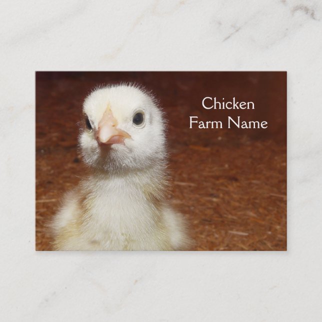 Little Yellow Chick - Chicken Farm Business Card (Front)