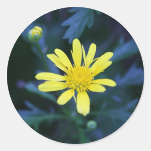 little yellow flower sticker