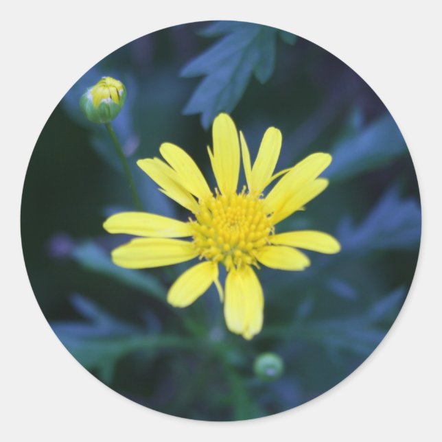 little yellow flower sticker (Front)
