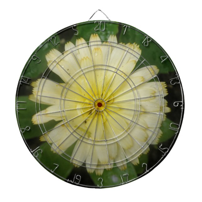 Little Yellow Marigold Dart Board (Front)