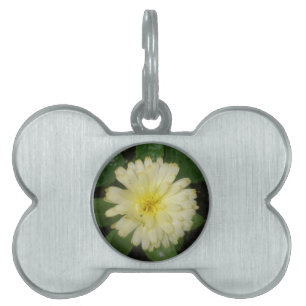 Little Yellow Marigold Pet Tag