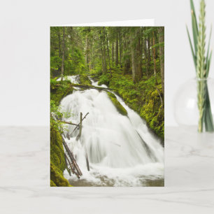 Little Zig Zag Falls Mount Hood National Forest Card