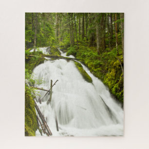 Little Zig Zag Falls   Mount Hood National Forest Jigsaw Puzzle