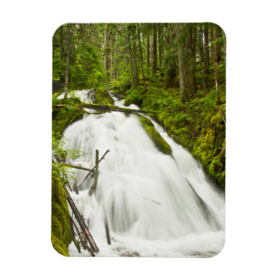 Little Zig Zag Falls Mount Hood National Forest Magnet