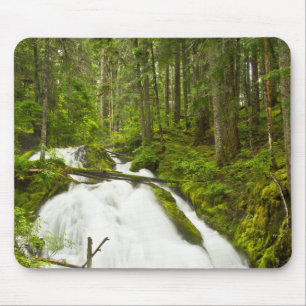 Little Zig Zag Falls   Mount Hood National Forest Mouse Pad