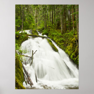 Little Zig Zag Falls   Mount Hood National Forest Poster