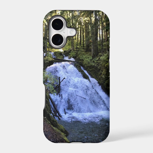 Little Zigzag Falls, OR (Back)