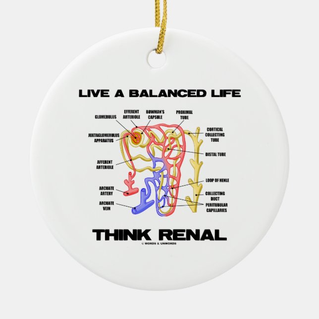 Live A Balanced Life Think Renal (Nephron) Ceramic Ornament (Front)