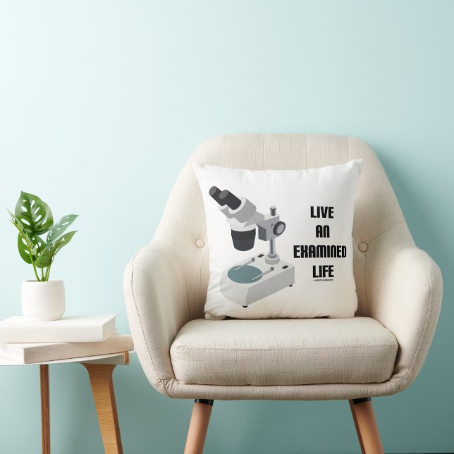 Live An Examined Life Advice Compound Microscope Cushion (Chair)
