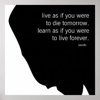 Live and Learn Poster