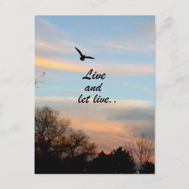 Live and Let Live Postcard (Front)