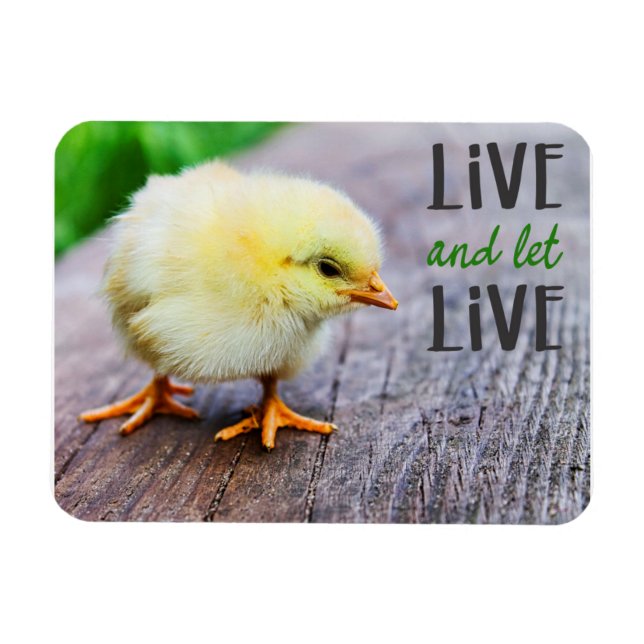 "Live and let live" vegan Magnet (Horizontal)